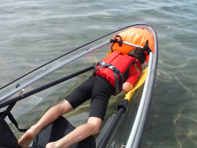 disfrutando las vistas